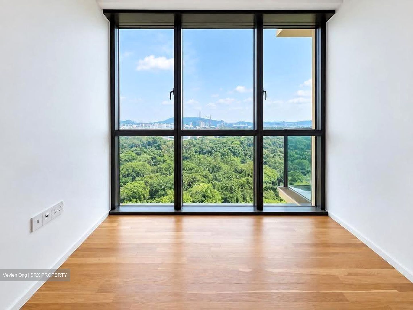 Pinetree Hill (D21), Condominium #628436551